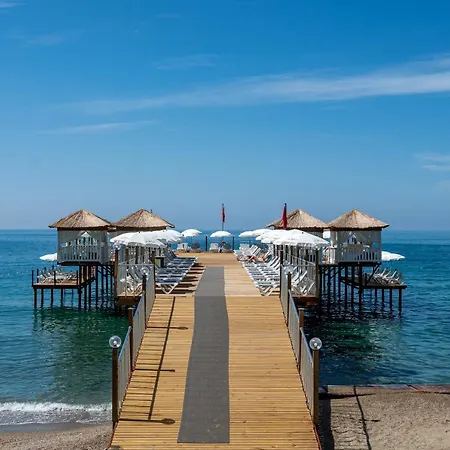 Aria & Ultra 코나키